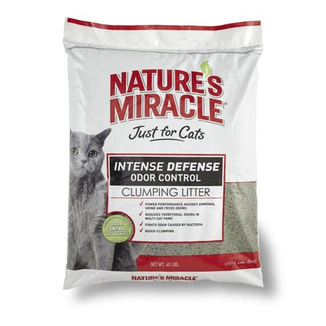 best cat litter for odor control|best clumping cat litter.